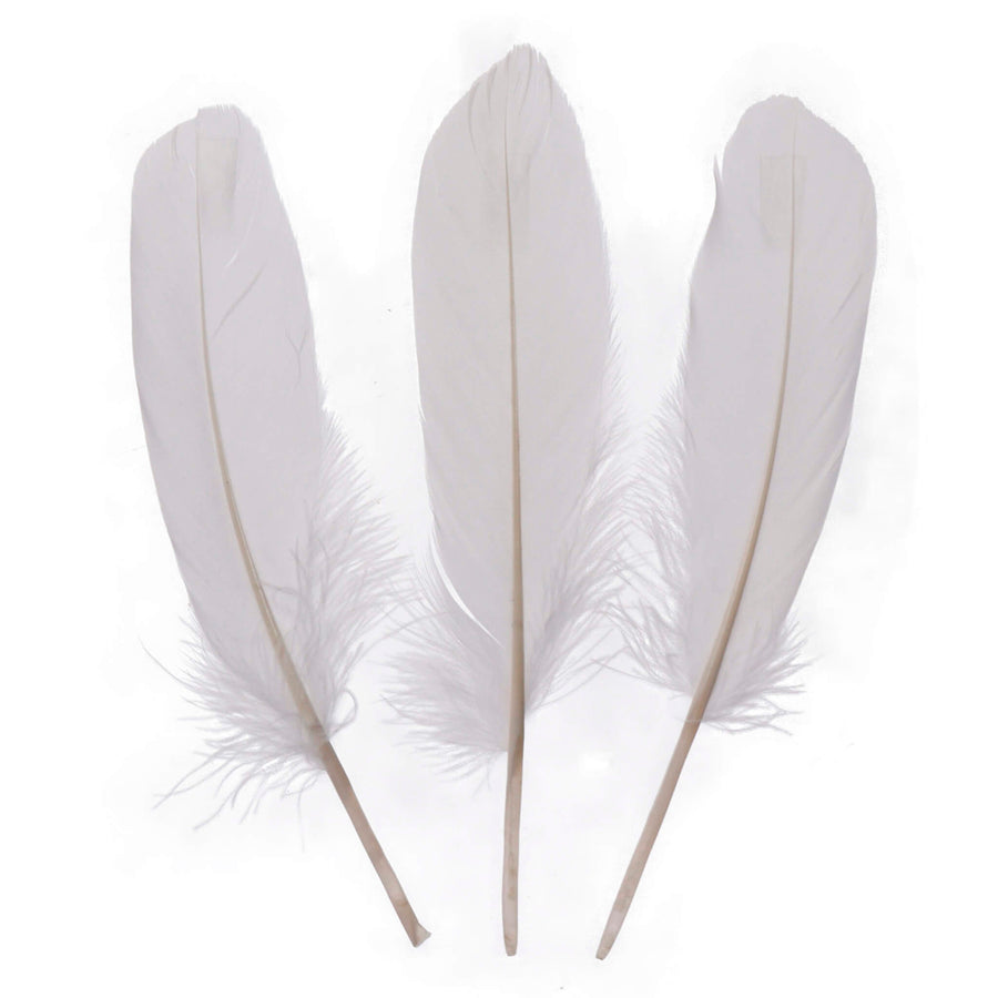 Art.12421 Plumas de Ganzo