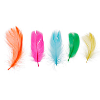Art.12422 Plumas de Ganzo