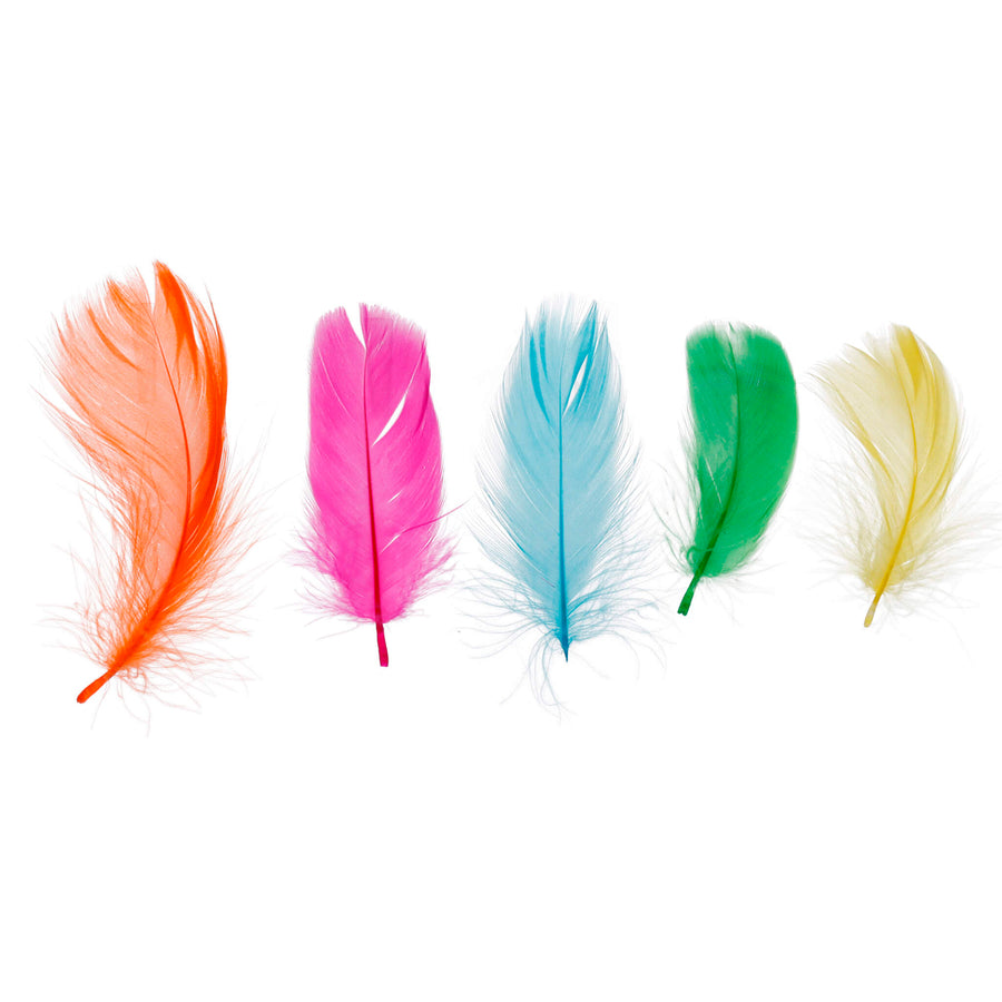 Art.12422 Plumas de Ganzo