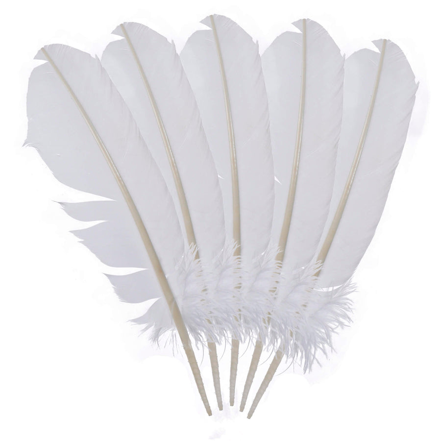 Art.12423 Pluma Avestruz