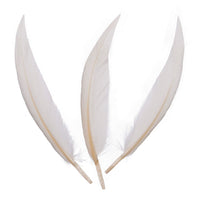 Art.12424 Pluma de Ganzo