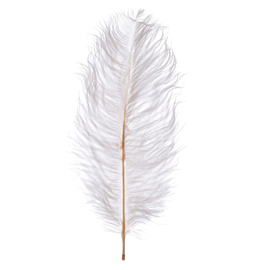 Art.12425 Pluma de Ganzo