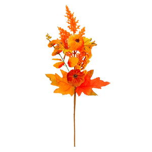 Picks y Varas Otoño