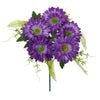 image variant Morado