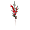 image variant Rojo