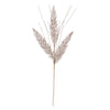 image variant Champaña