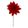 image variant Rojo