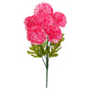 image variant Rosa Mexican
