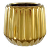 image variant Oro