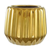 image variant Oro