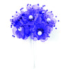 image variant Morado