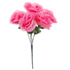 image variant Rosa