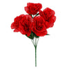 image variant Rojo