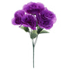 image variant Morado