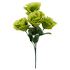 image variant Verde Lima