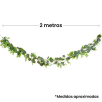 Art.2632 Enredadera Fina Eucalipto 2m 1pz