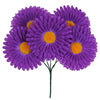 image variant Morado