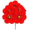 image variant Rojo