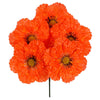 image variant Naranja