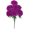 image variant Morado