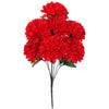 image variant Rojo