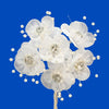 image variant Blanco