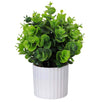 Fantasías Miguel Art.2847 Planta Con Maceta 24cm    (Aprox) 1pz