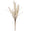 Fantasías Miguel Art.2855 Flor De Pampa 52cm 1pz Blanco