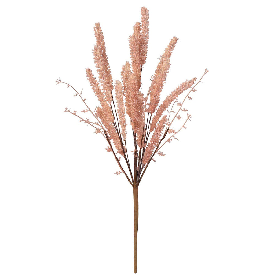 Art.2855 Flor De Pampa