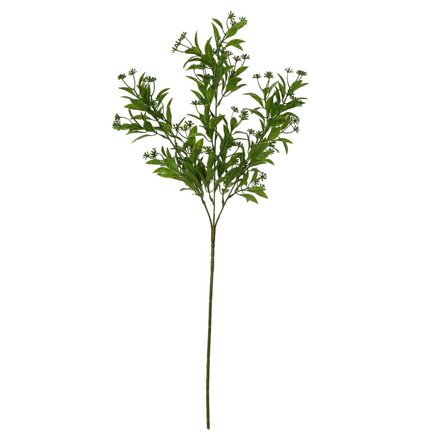 Art.2874 Planta Fina X5