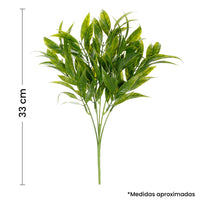 Art.2944 Planta Fina x5 33cm 1pz