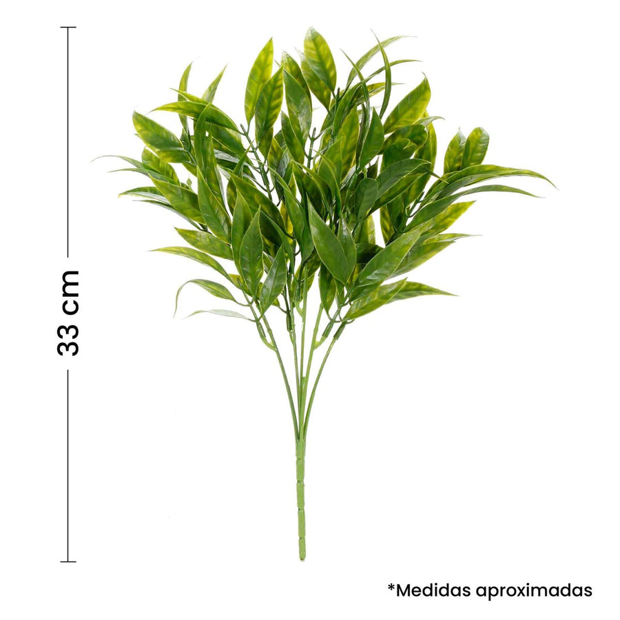 Art.2944 Planta Fina x5 33cm 1pz