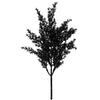 image variant Negro