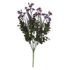 image variant Lavanda