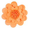 image variant Naranja
