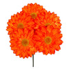 image variant Naranja