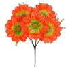 image variant Naranja