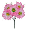 image variant Rosa