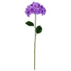 image variant Lavanda
