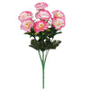image variant Rosa