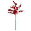 image variant Rojo