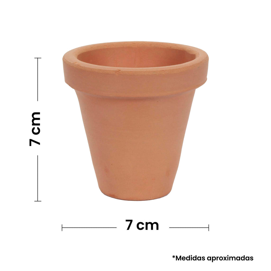 Art.4115 Maceta De Barro 7x7 cm 1pz