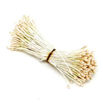Art.4692 Ramito Pistilo