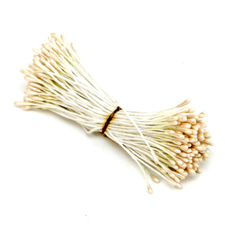 Art.4692 Ramito Pistilo