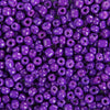 image variant Morado