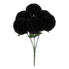 image variant Negro