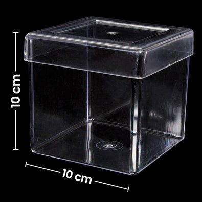Fantasías Miguel Art.7025 Caja Plástico Cubo 10x10cm 1pz