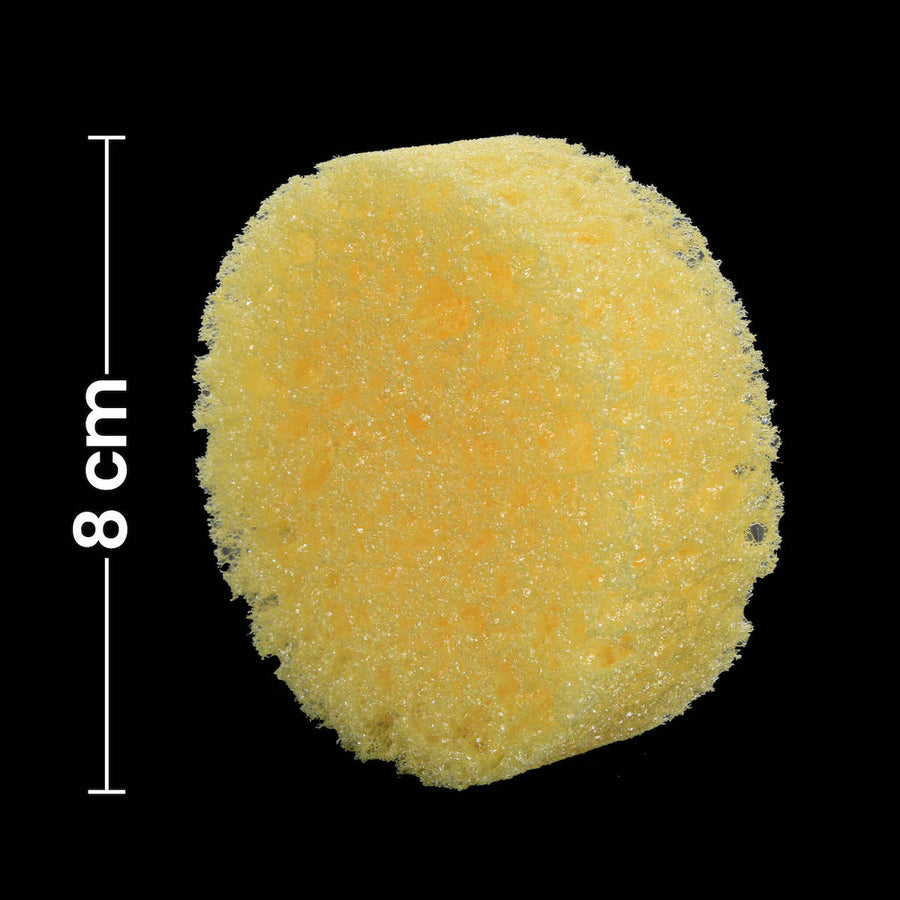 Art.7091 Esponja De Mar 8x3cm 1pz