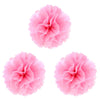 image variant Rosa