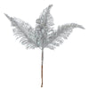 image variant Plata